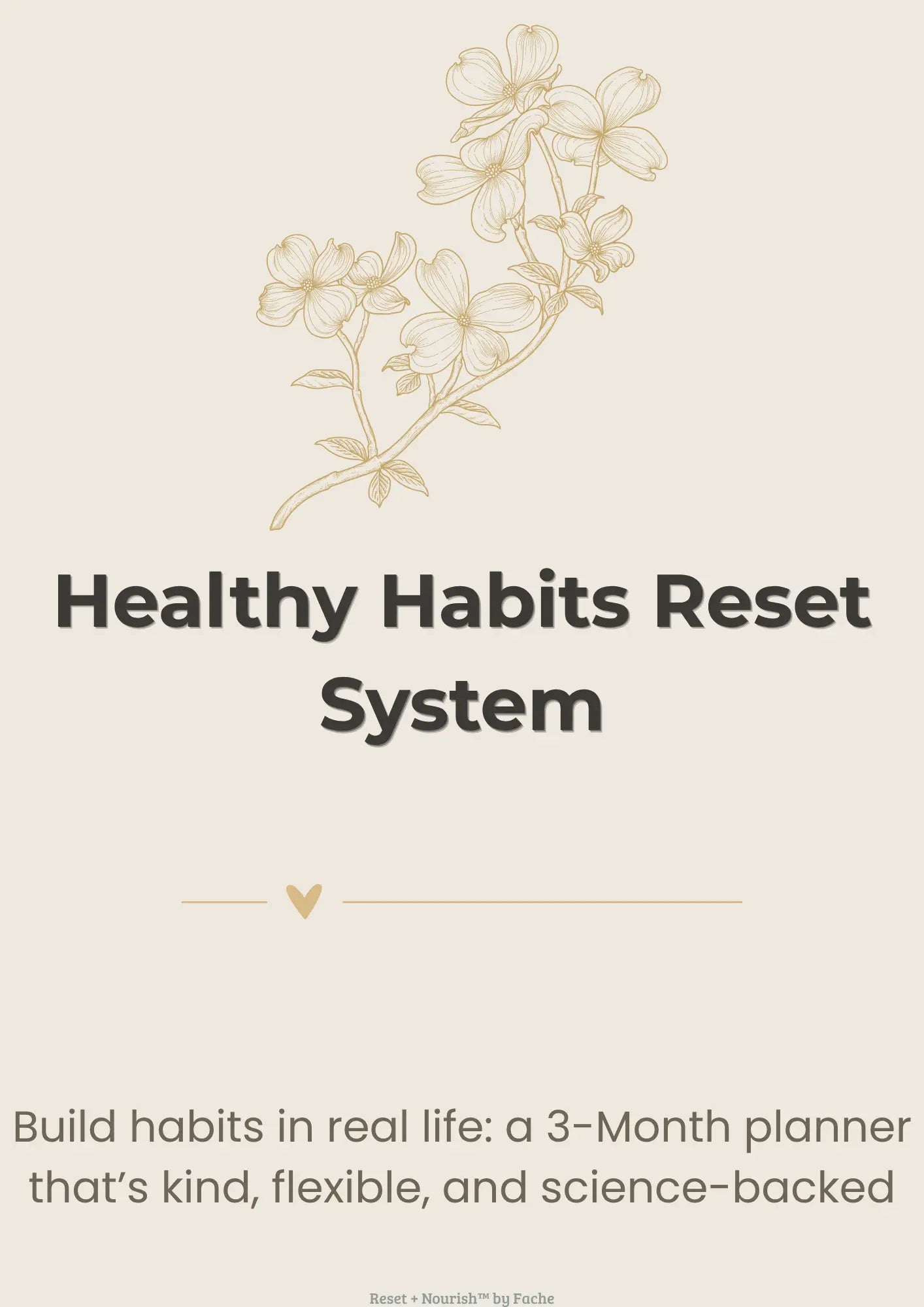 Healthy Habits Reset System